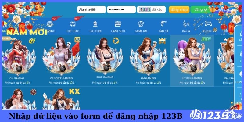 Nhập dữ liệu vào form để đăng nhập 123B